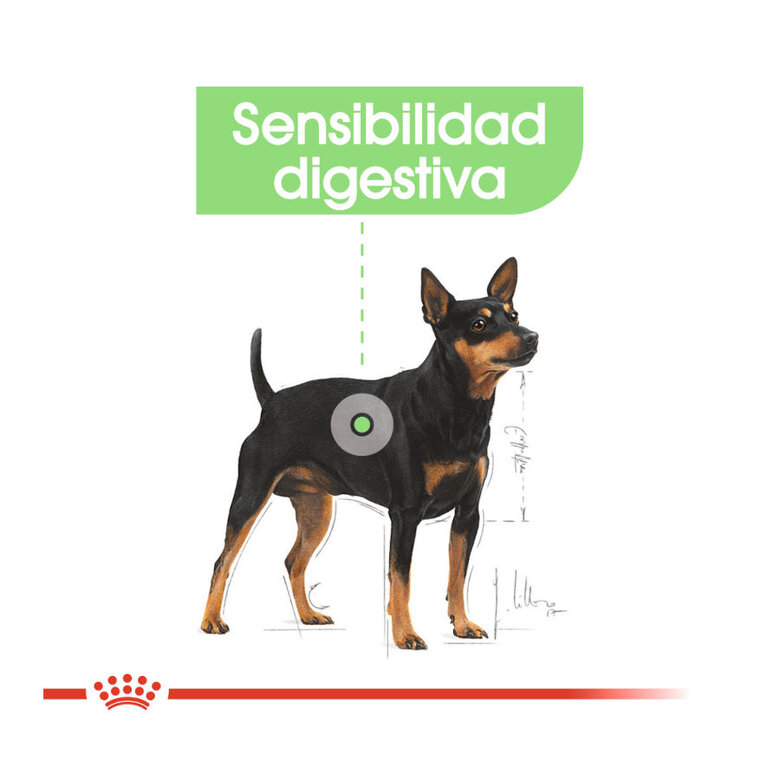 Royal Canin Digestive Care Mini pienso para perros, , large image number null